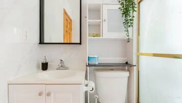 Hair dryer, towels, soap, toilet paper