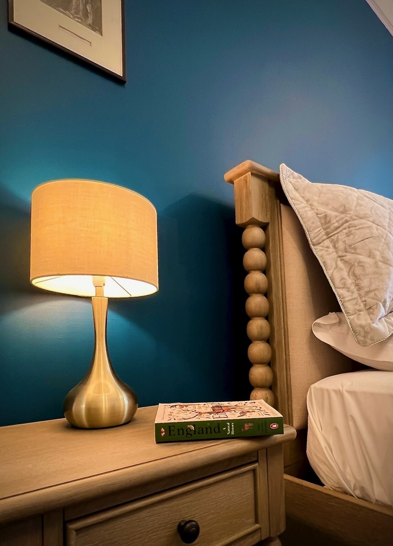 A bedside table with a lamp, a book titled 'England Natural History', and a bed with a white pillow against a blue wall.