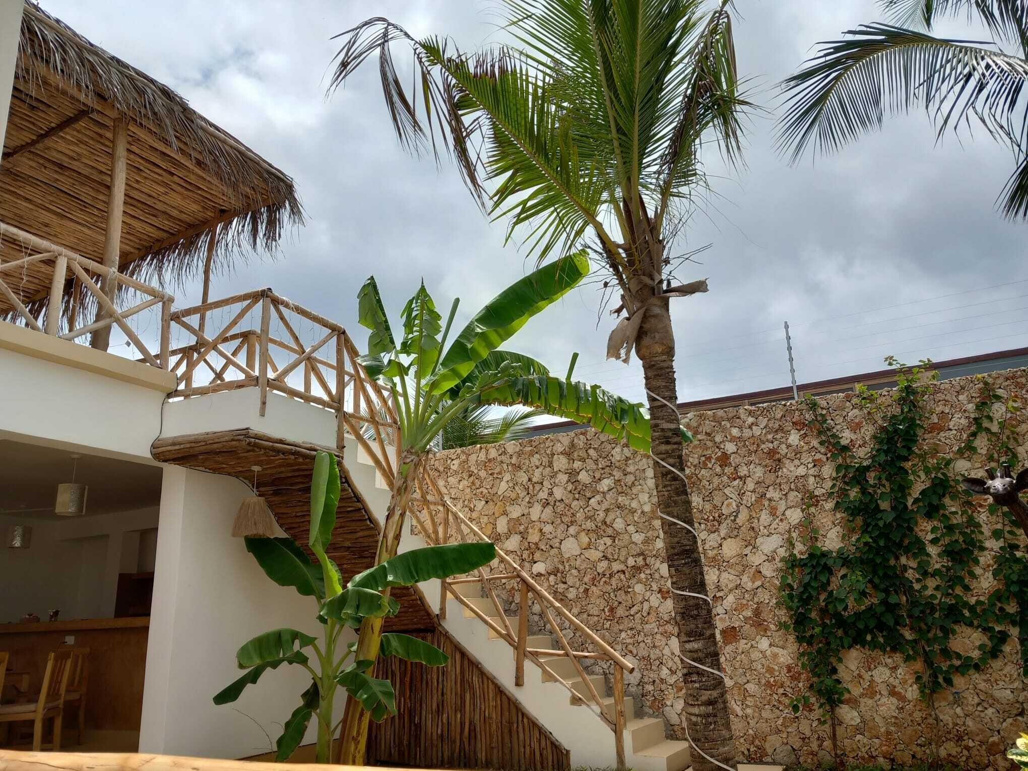 Utsikt mot trädgården