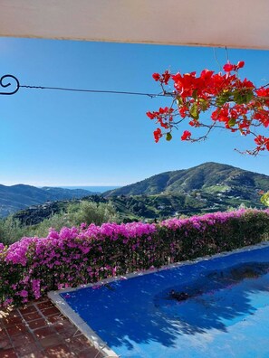 Property grounds - Beautiful Casa El Zorro 3 bedrooms, private pool near Competa, mountain views (Competa)