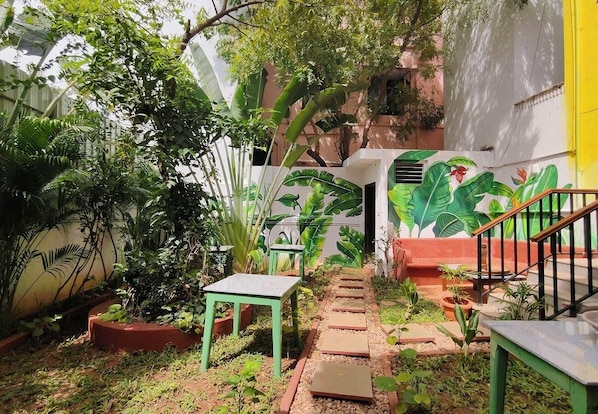Garden
