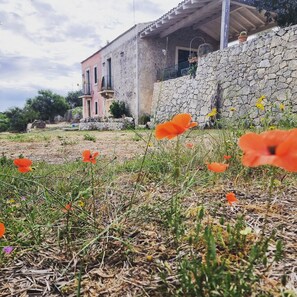 Exterior detail - Sicilian villa surrounded by greenery (Canicattini Bagni)