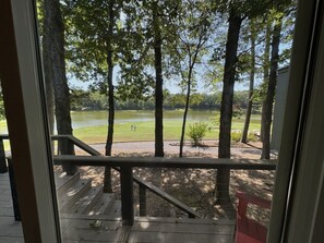 Une vue depuis une fenêtre donnant sur un espace verdoyant, avec des arbres et une étendue d’eau.