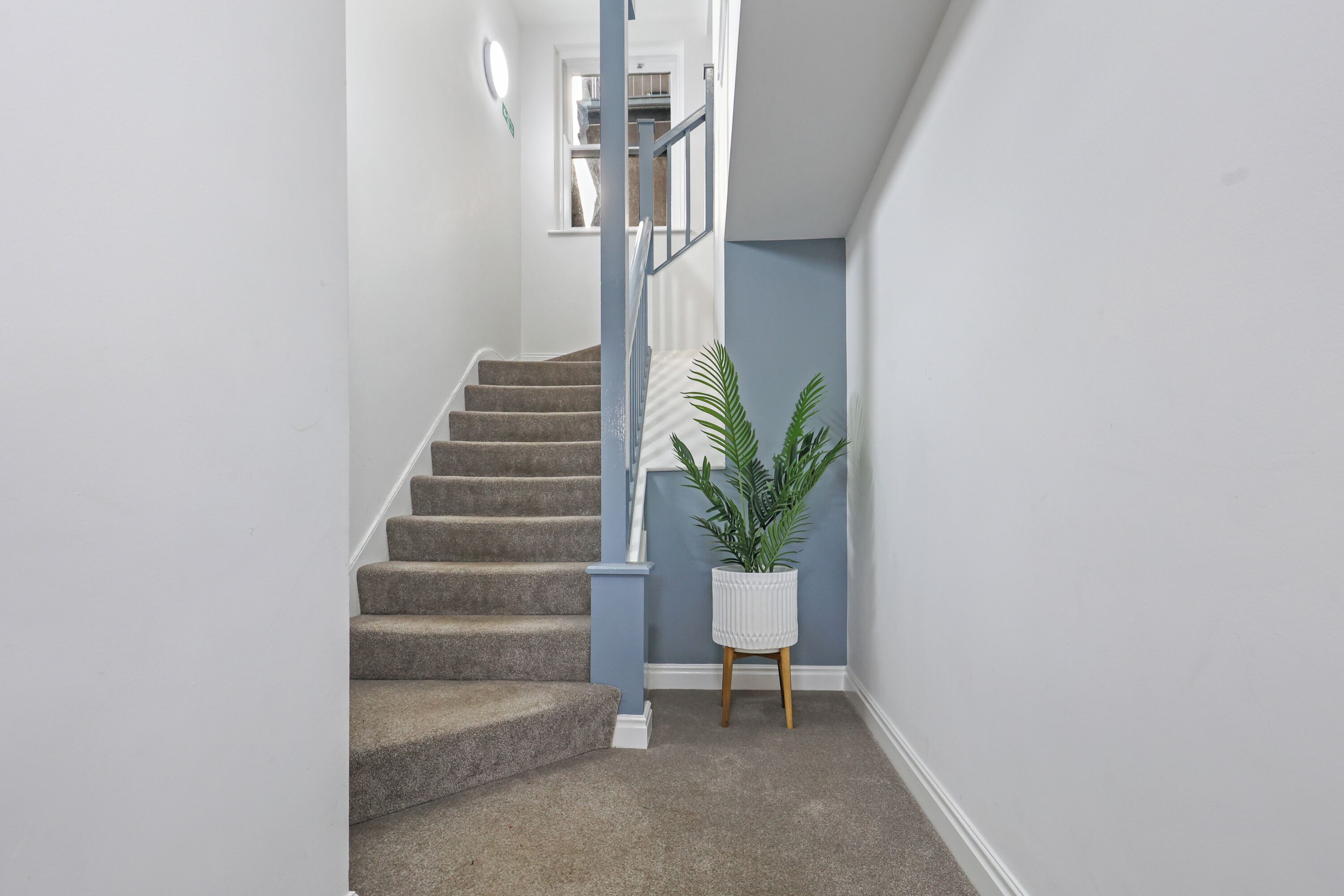 A carpeted staircase with a white wall on one side and a blue wall on the other.
