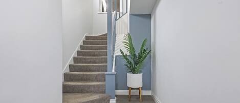 A carpeted staircase with a white wall on one side and a blue wall on the other.