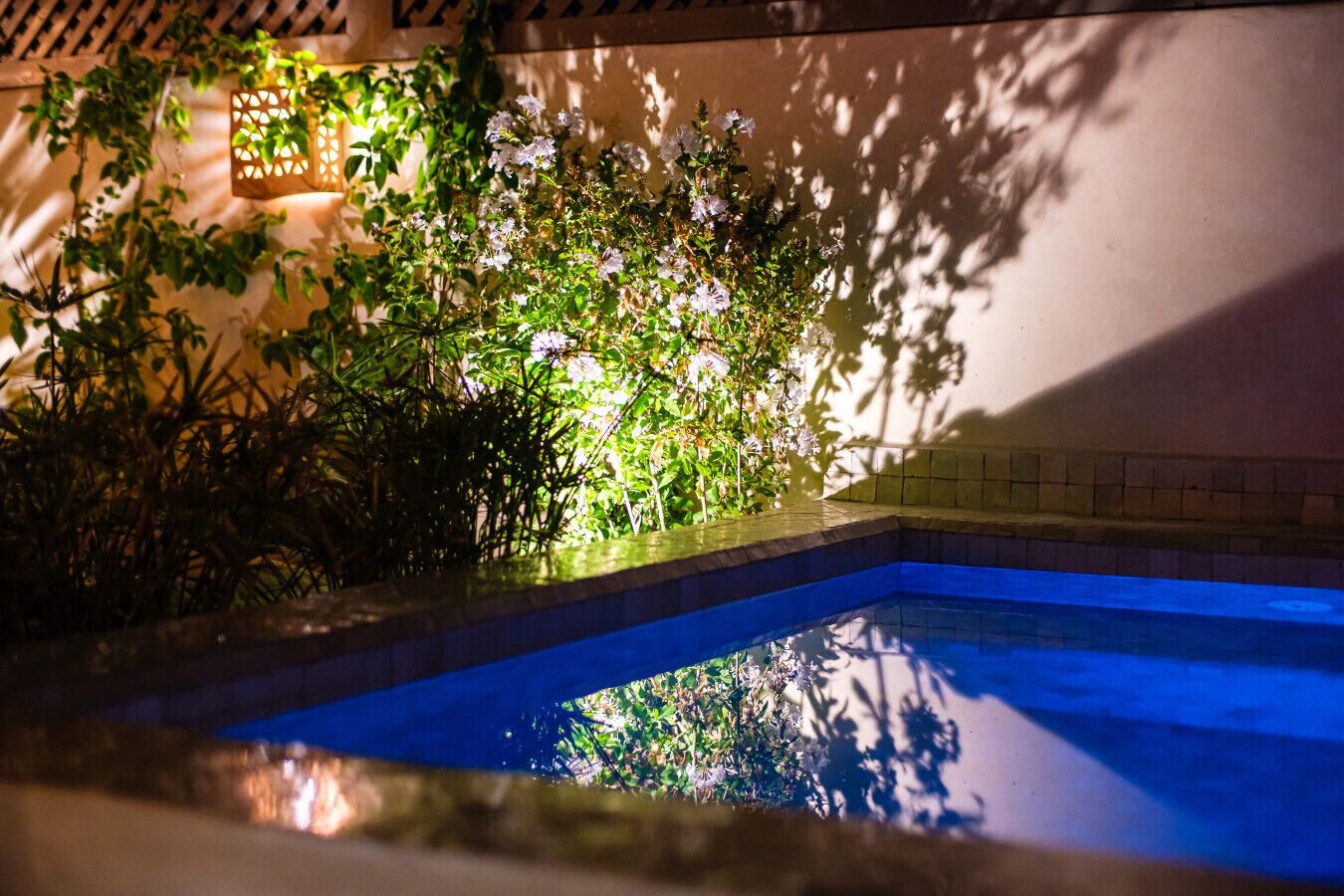 A swimming pool with a tiled edge, surrounded by lush greenery and a wall with a decorative light fixture.