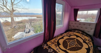Cozy house in a farm between the lagoon and the sea
