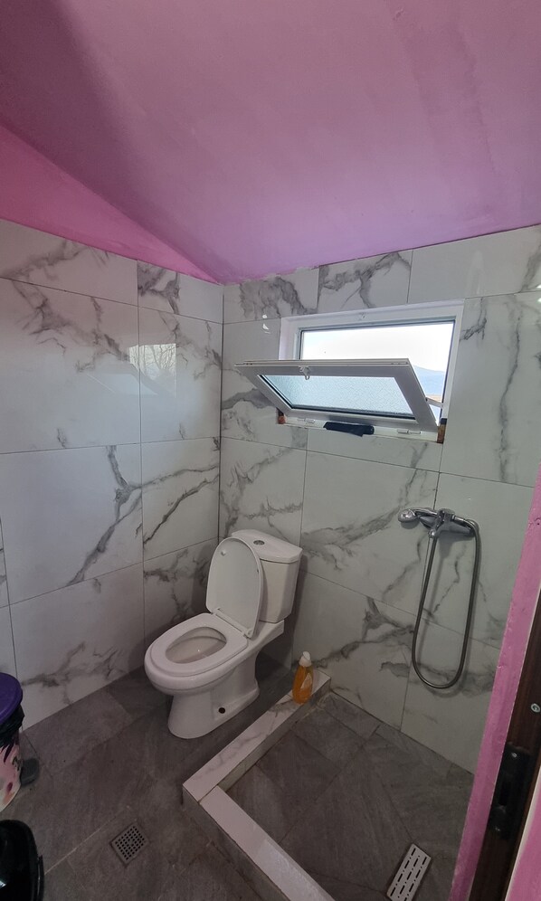 A bathroom with a toilet, a shower, and a window.
