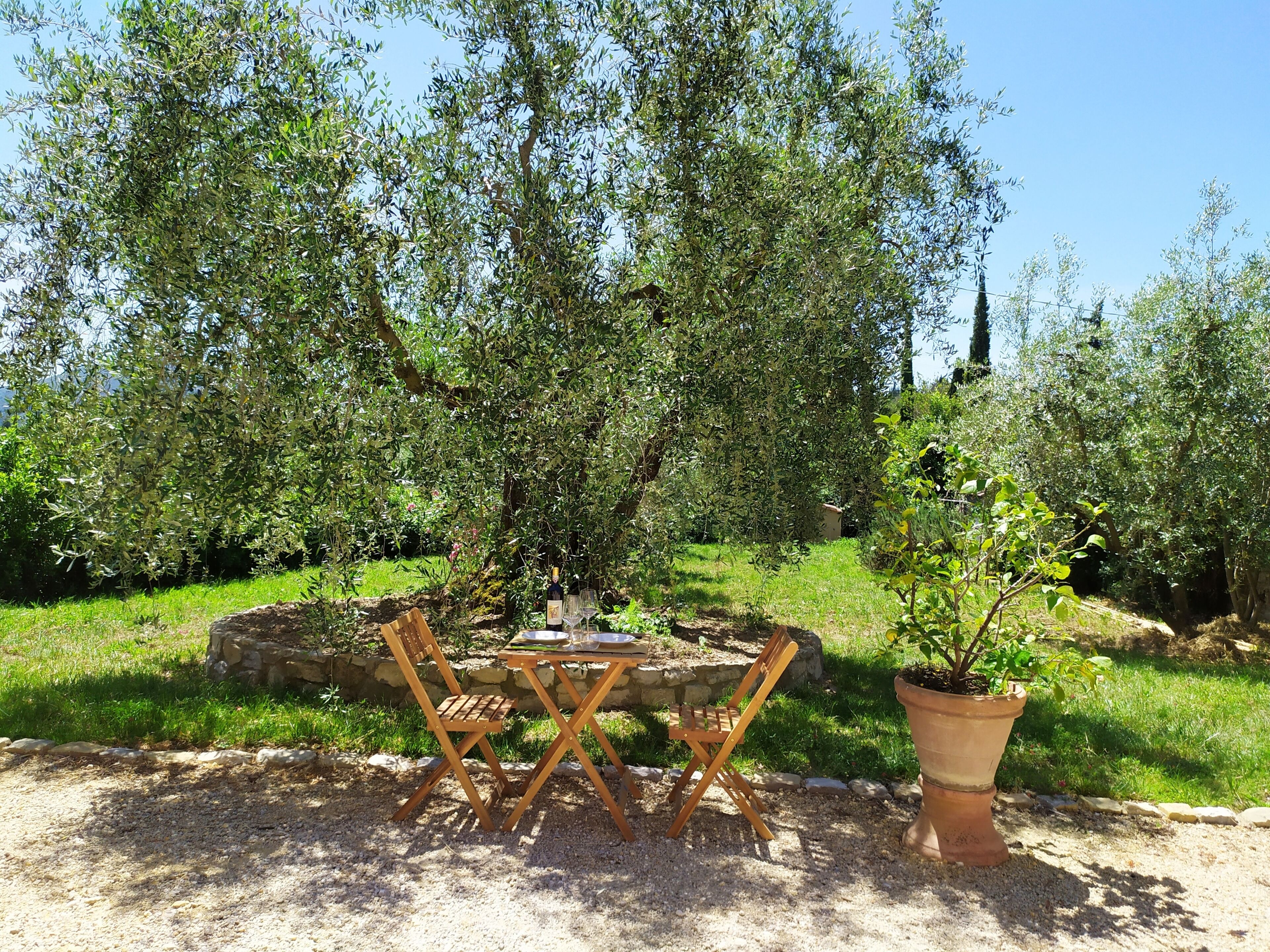 An outdoor seating area with a table and chairs, surrounded by greenery and trees.