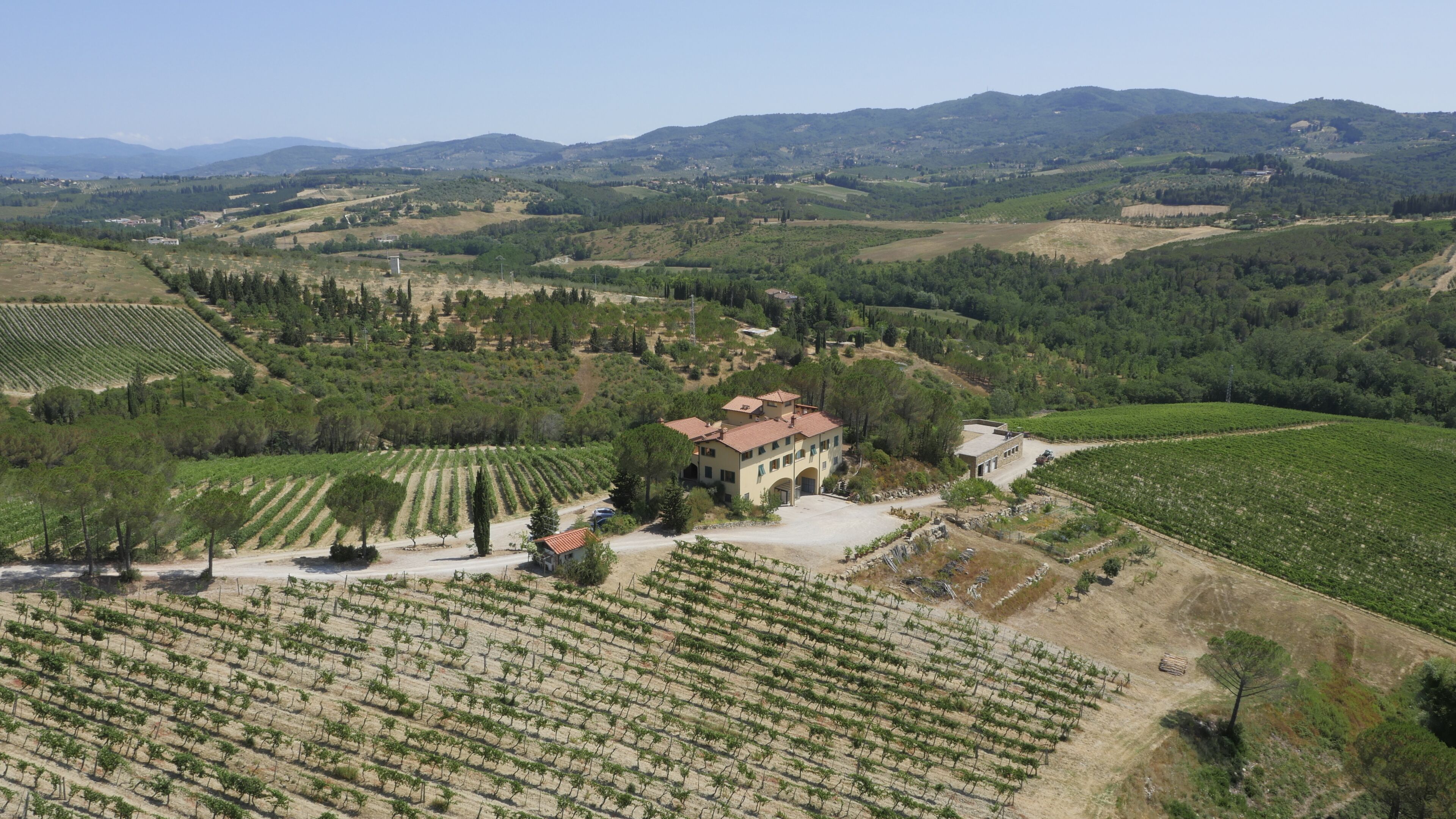A vineyard with rows of grapevines and a building with a red roof.