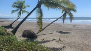 A beach with palm trees and a clear sky. - Stylish Oceanfront Condo 3205 | Playa Bejuco + Bright Design + Pool (Bejuco)