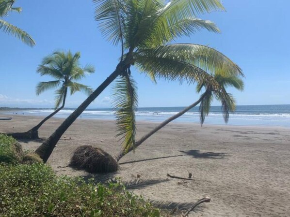 En la playa 