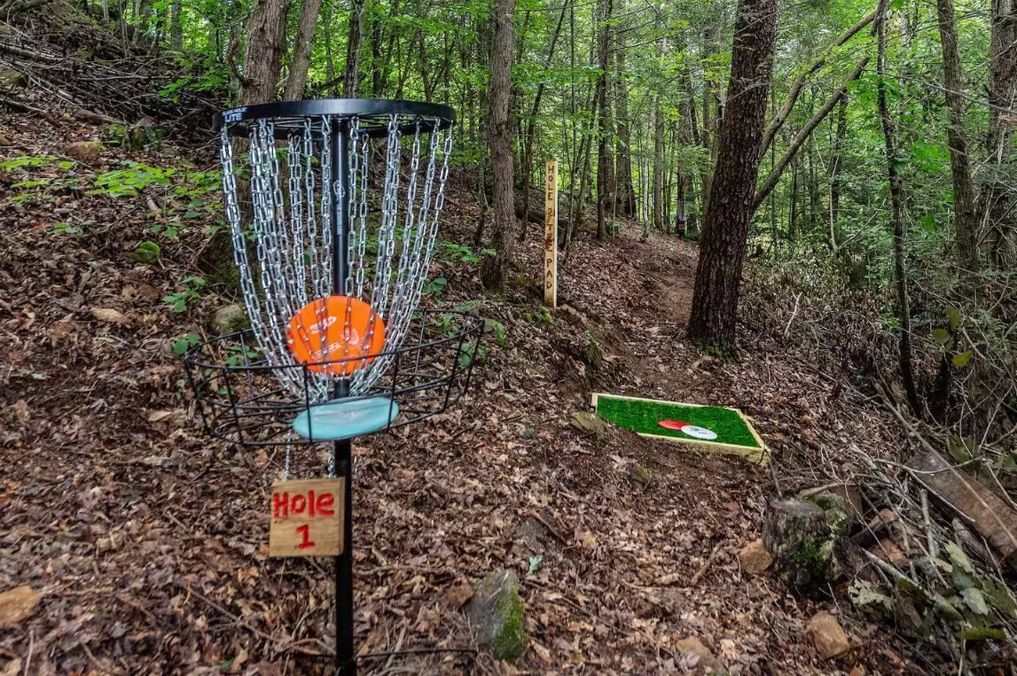 Un cesto de disc golf con una red de cadenas, rodeado por un área boscosa con un letrero que indica 'Hole 1'.