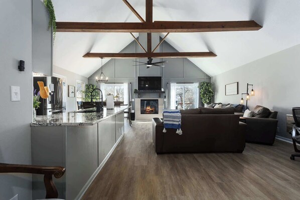 TV, fireplace, video games