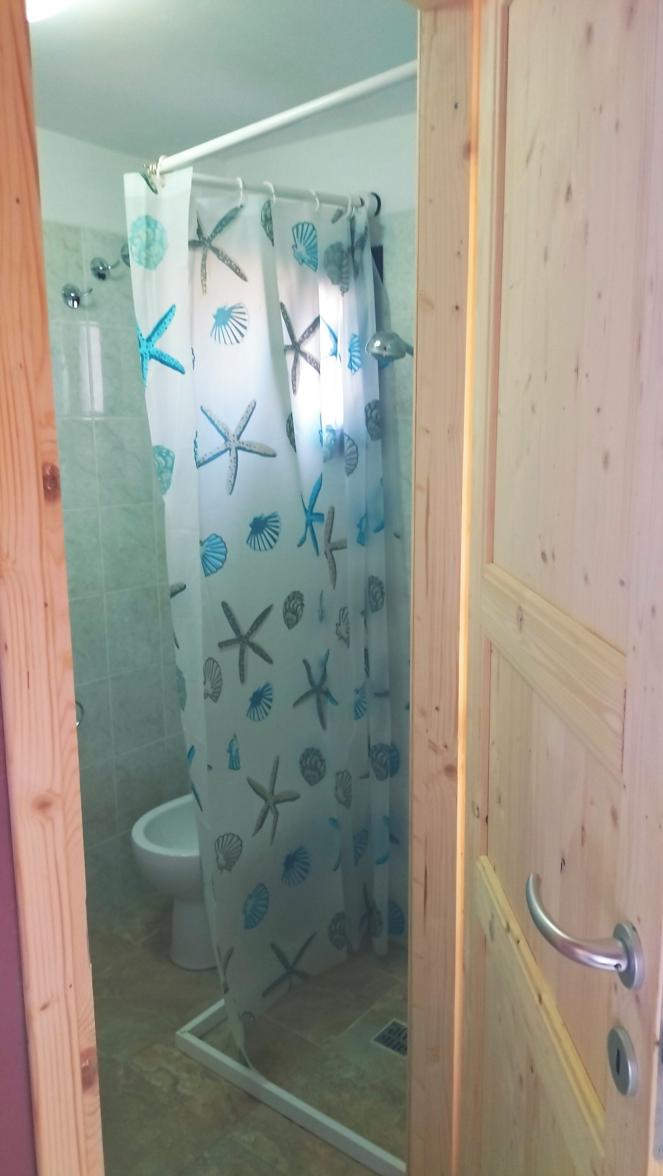 Ducha, secador de pelo, bidé y toallas