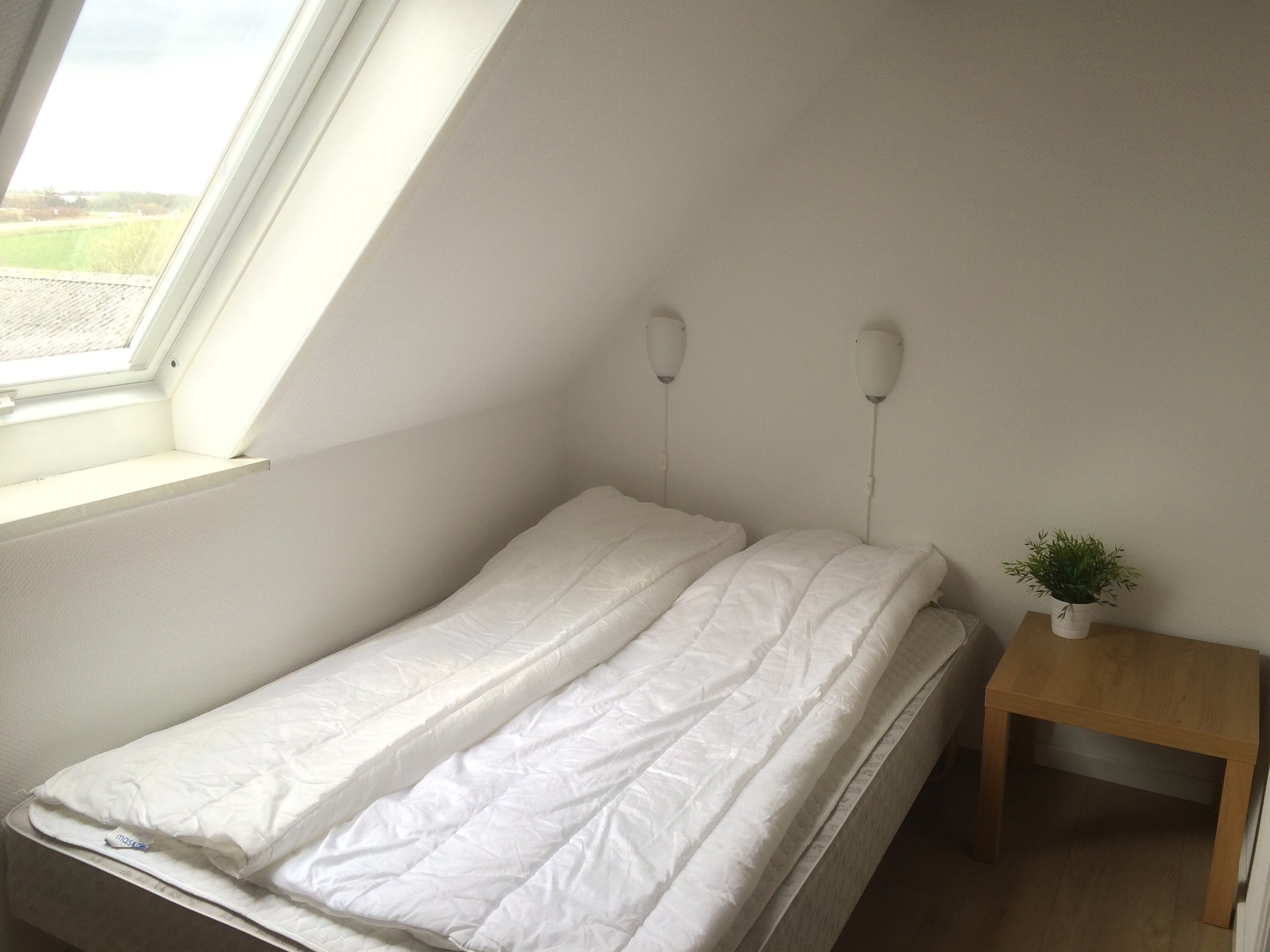 Ein kleines, ordentlich bezogenes Bett in einem Raum mit schrägem Dach und einem Dachfenster. Ein kleiner Nachttisch aus Holz mit einer Pflanze darauf.