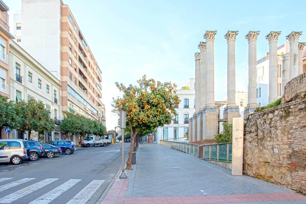 A street with parked cars, a tree with orange fruit, and classical columns.