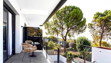 Apartamento (1 Bedroom) | Terraza o patio
