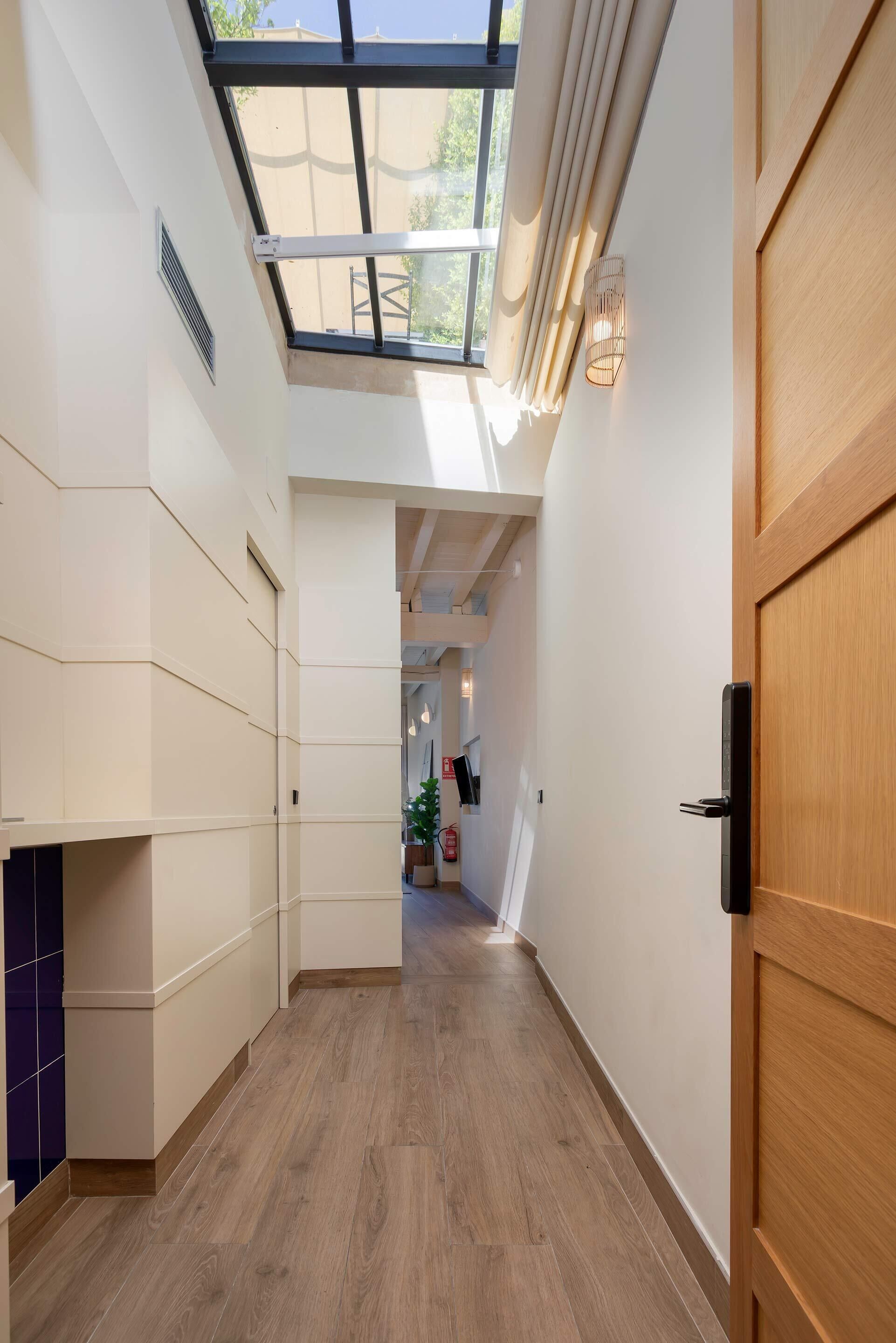 A hallway with a skylight, wooden door, and a potted plant.