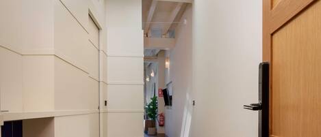 A hallway with a skylight, wooden door, and a potted plant.