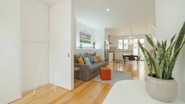 Un salon moderne avec un canapé gris, un pouf orange et une plante en pot.