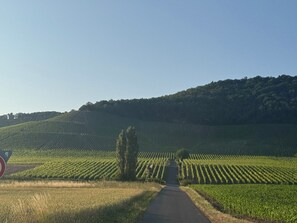 Miscellaneous - Panorama 180° (Unknown)