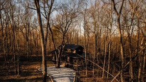 A rustic cabin with a gravel path leading to it, surrounded by leafless trees.
