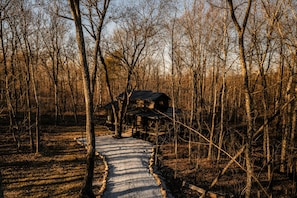 A rustic cabin with a gravel path leading to it, surrounded by leafless trees.