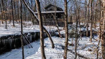 A cabin surrounded by snow-covered trees and a frozen stream.