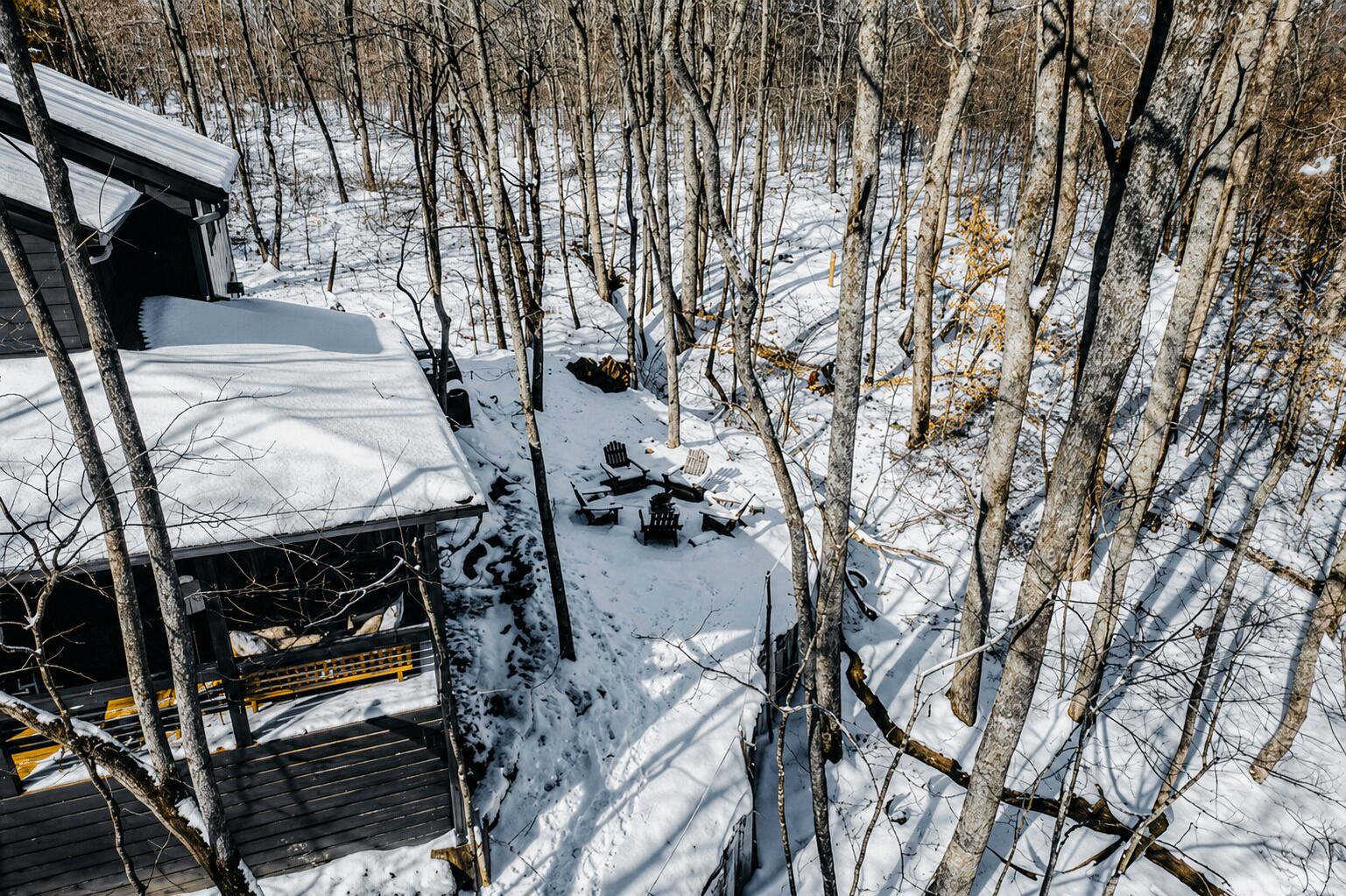 A cabin with a snow-covered roof, surrounded by a forest.