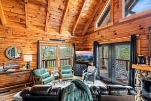 Smart TV, fireplace, books