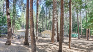 A forested area with tall trees, a small house with a garage, and a green shed. - Drive to Major Parks: Nature Getaway in West Point (West Point)
