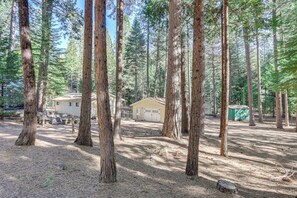 Apartment (0 Bedroom) | Interior