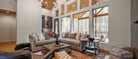 Televisio, takka, kirjoja, työhuone