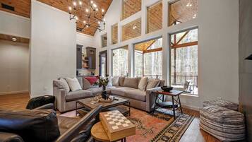 TV, fireplace, books, offices