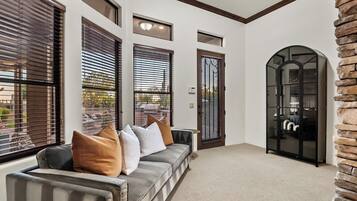 TV, fireplace, video games, DVD player