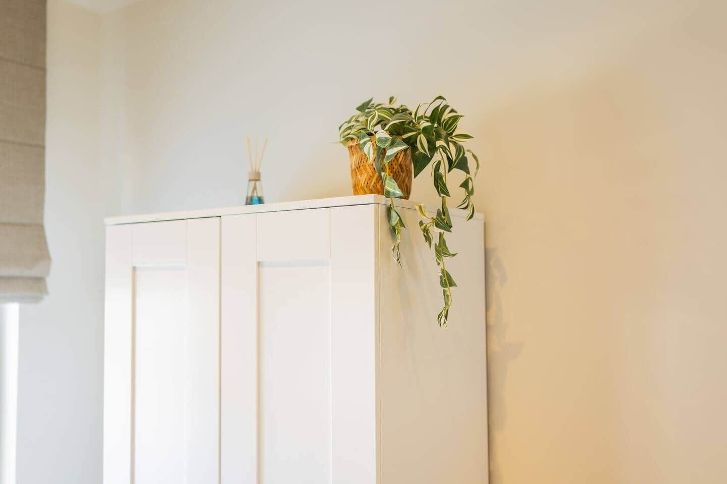 Un gabinete blanco con una planta encima.