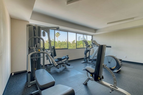 Bright building gym with cardio and strength gear, stay active steps from your door