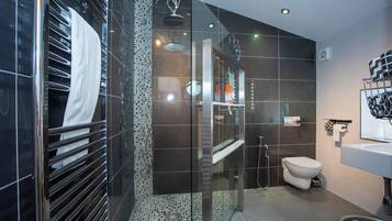 Hair dryer, towels, soap, toilet paper