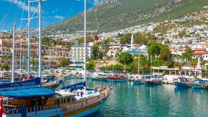 A marina with multiple yachts docked, a mountainous backdrop, and a densely built town with various buildings.