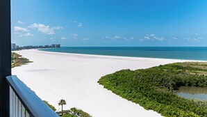 Blick auf einen Strand, bewölkter Himmel, Sand und ein kleiner Wald.