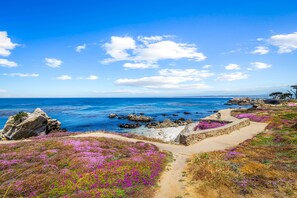 Beach - 3965 Marine Gardens - Oceanfront with Bay Views (Pacific Grove)