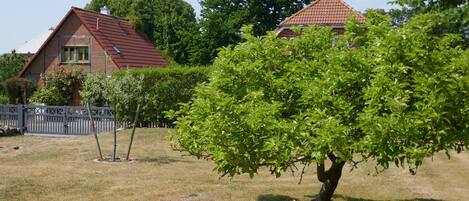 獨棟房屋 | 花園