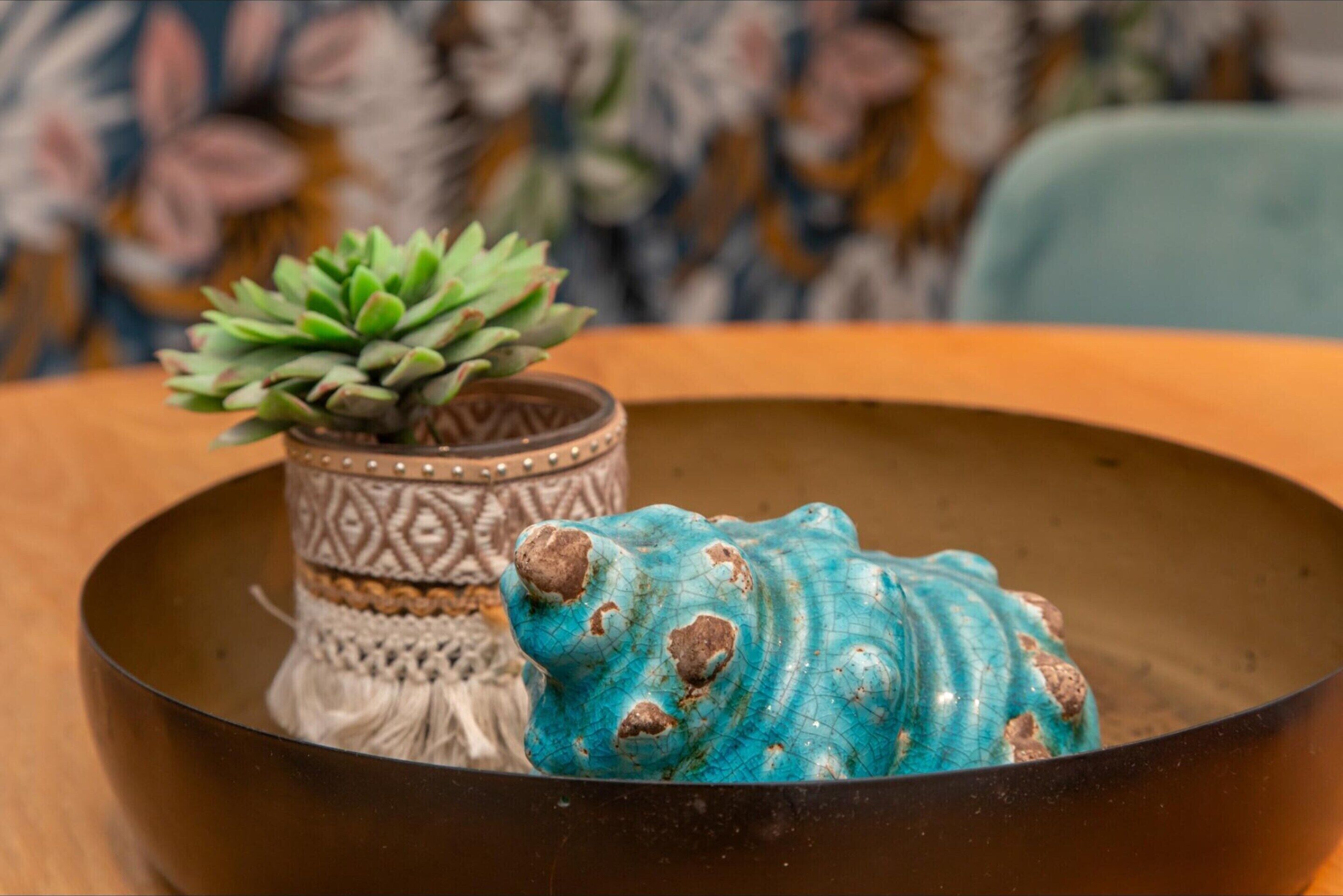 A decorative bowl with a succulent plant and a ceramic frog.