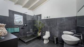 Ducha, toallas, papel higiénico