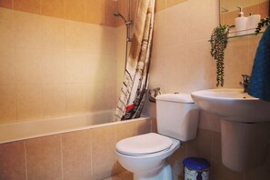 Secador de pelo, toallas, papel higiénico