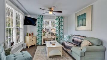 Televisio, kirjoja, stereot