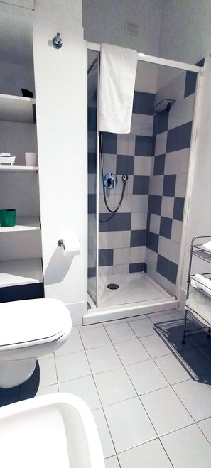 Sèche-cheveux, serviettes fournies, shampoing