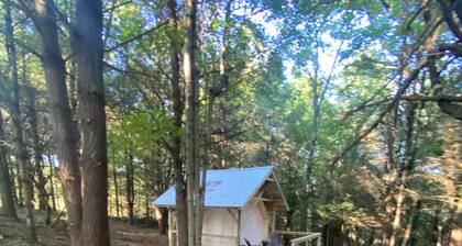 Indulge in our Forest Retreat