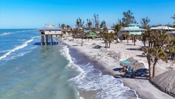A beach with a wooden pier, palm trees, and beach houses.